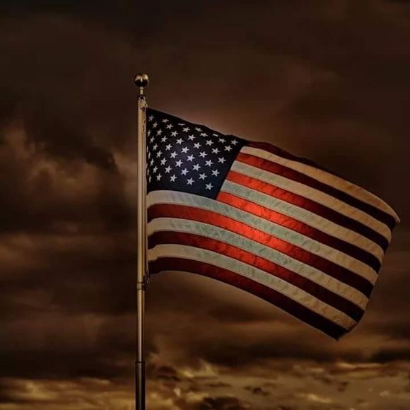 Meet your Posher, Daniel - Picture 1 of 1